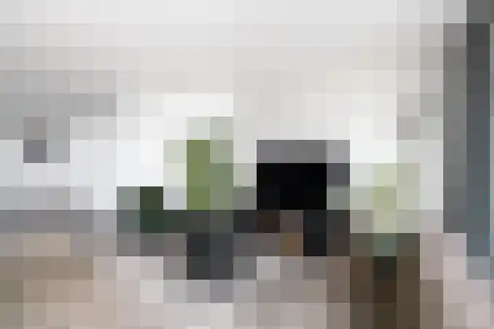 Dagpauwoog 22 Wolvega thumbnail 7