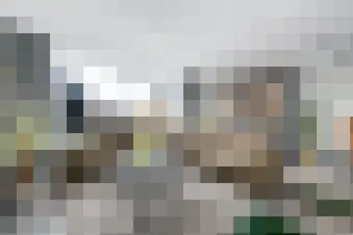 Dagpauwoog 22 Wolvega thumbnail 8