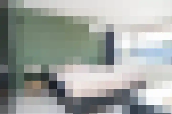 Dahliastraat 1 Eerbeek thumbnail 21