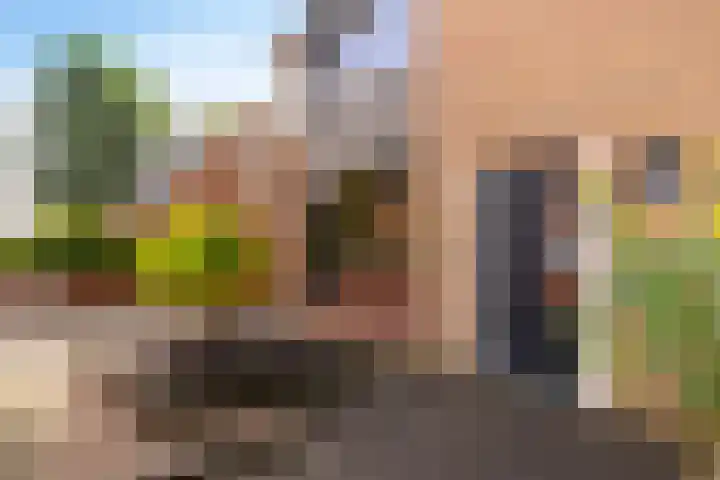 Dahliastraat 1 Eerbeek thumbnail 7