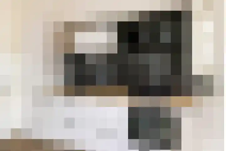 Dahliastraat 1 Woerden thumbnail 19