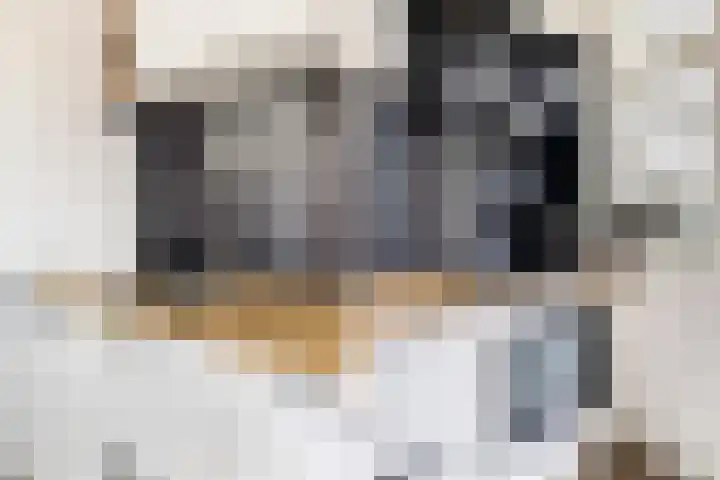 Dahliastraat 1 Woerden thumbnail 23