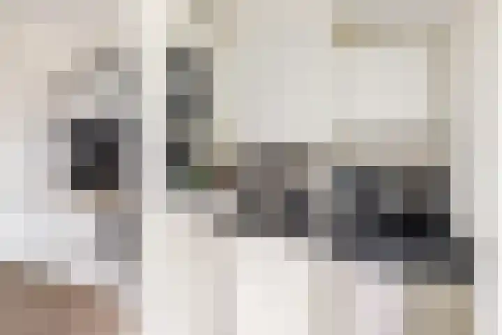 Dahliastraat 1 Woerden thumbnail 25