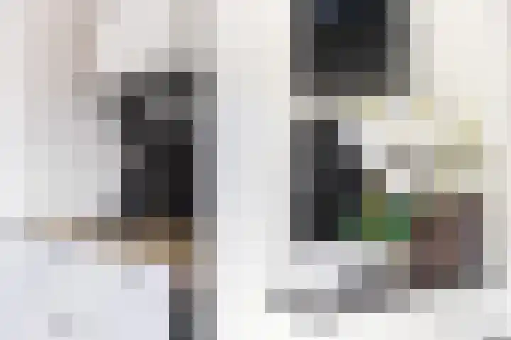 Dahliastraat 1 Woerden thumbnail 28
