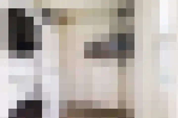Dahliastraat 1 Woerden thumbnail 30