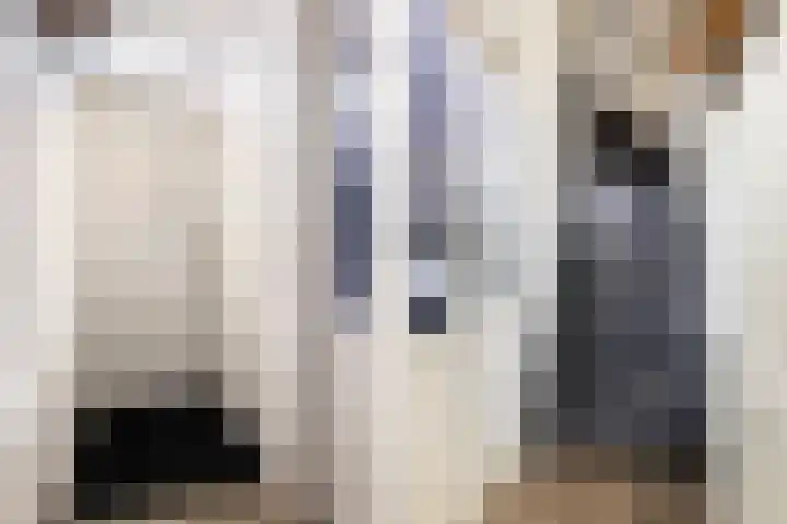 Dahliastraat 1 Woerden thumbnail 4