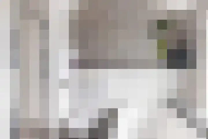 Dahliastraat 1 Woerden thumbnail 47
