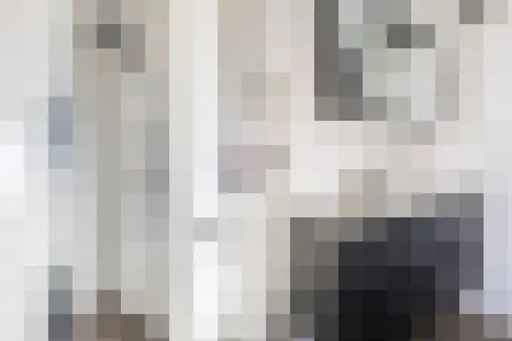 Dahliastraat 1 Woerden thumbnail 49
