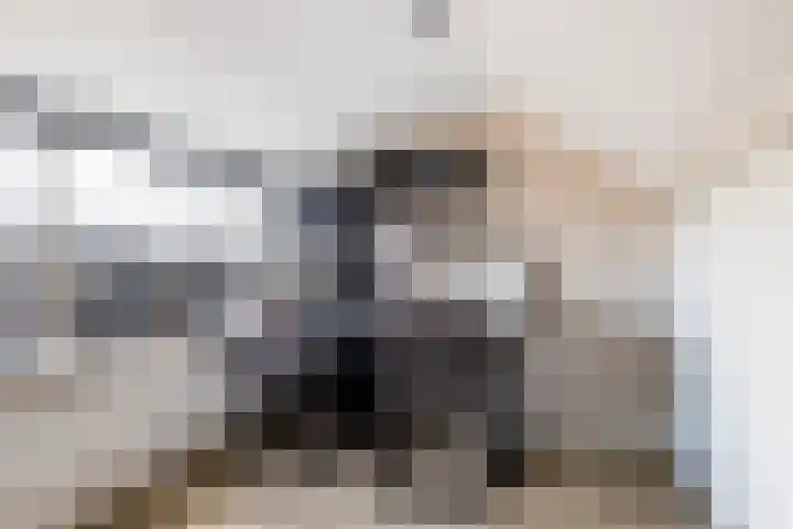 Dahliastraat 1 Woerden thumbnail 51