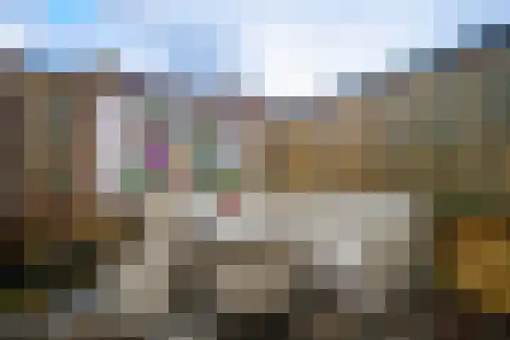 Dahliastraat 111 Den Helder thumbnail 23