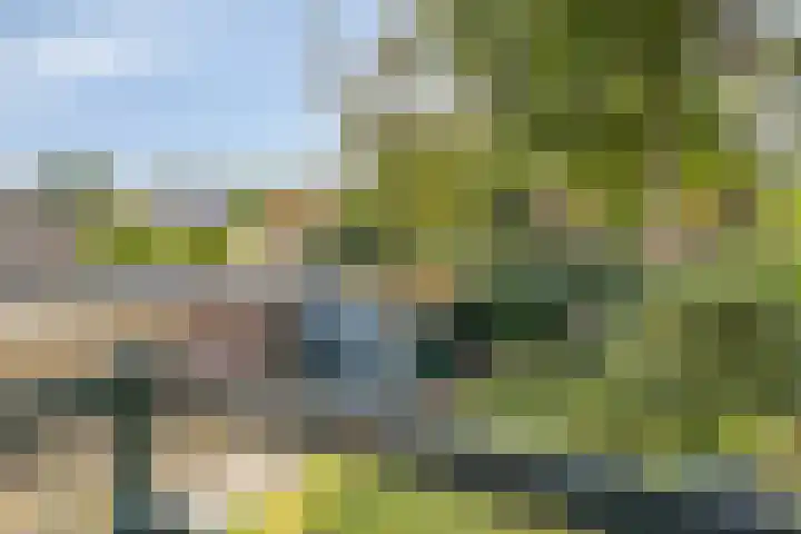 Dahliastraat 18 Wolvega thumbnail 14