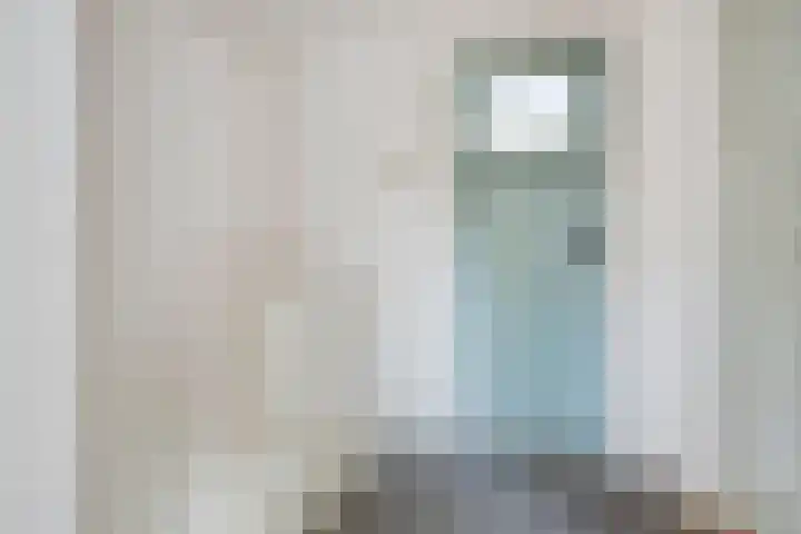 Dahliastraat 18 Wolvega thumbnail 15