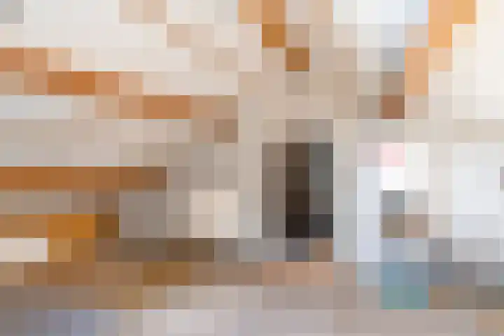 Dahliastraat 18 Wolvega thumbnail 19