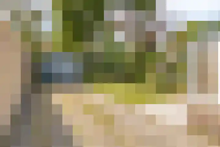 Dahliastraat 18 Wolvega thumbnail 23
