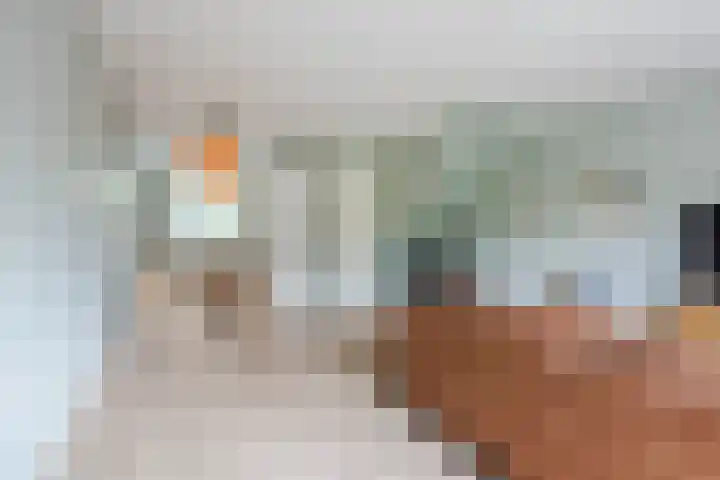 Dahliastraat 2 Hattem thumbnail 11