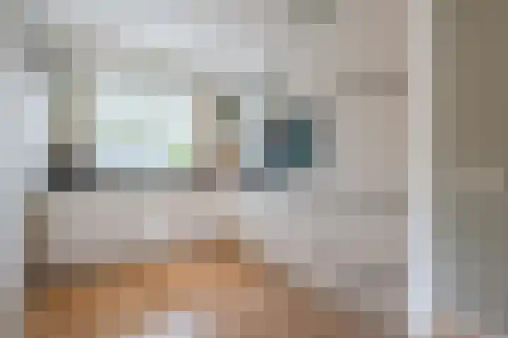 Dahliastraat 2 Hattem thumbnail 15
