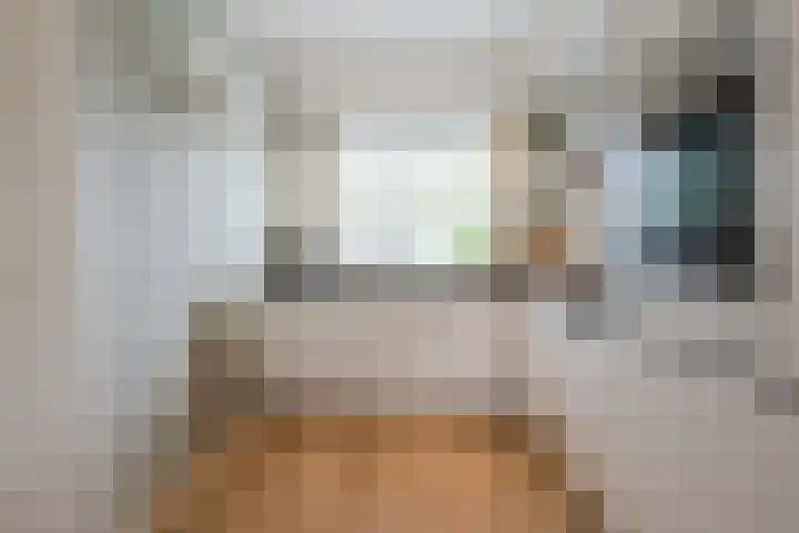 Dahliastraat 2 Hattem thumbnail 16