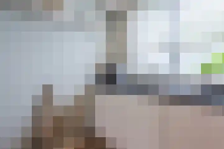 Dahliastraat 2 Hattem thumbnail 17