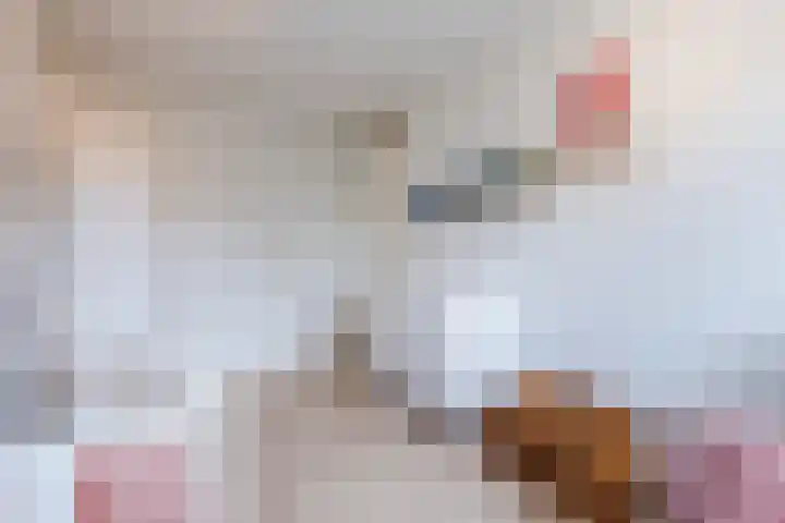 Dahliastraat 2 Hattem thumbnail 23