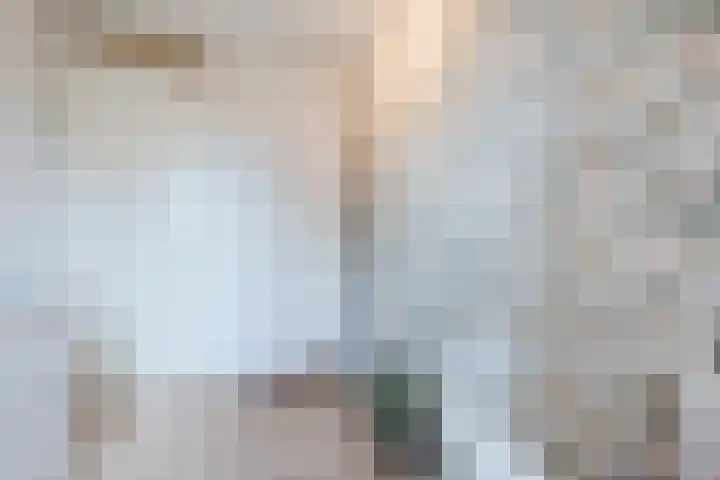 Dahliastraat 2 Hattem thumbnail 25