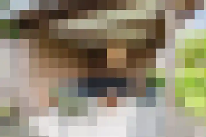 Dahliastraat 2 Hattem thumbnail 40