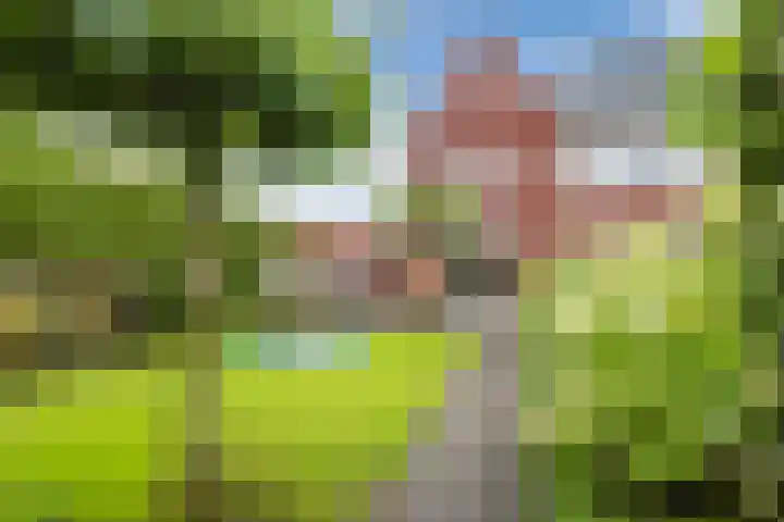 Dahliastraat 2 Hattem thumbnail 42