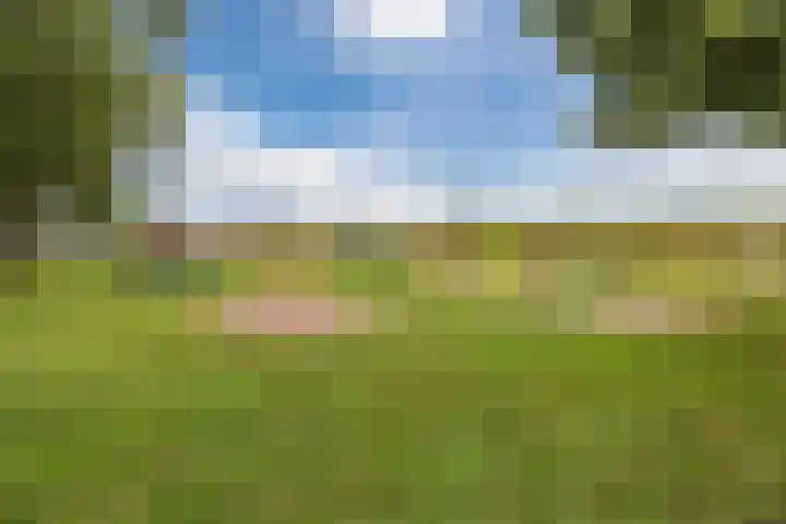 Dahliastraat 2 Hattem thumbnail 48