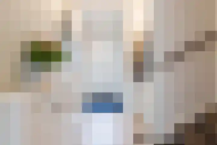 Dahliastraat 2 Hattem thumbnail 6