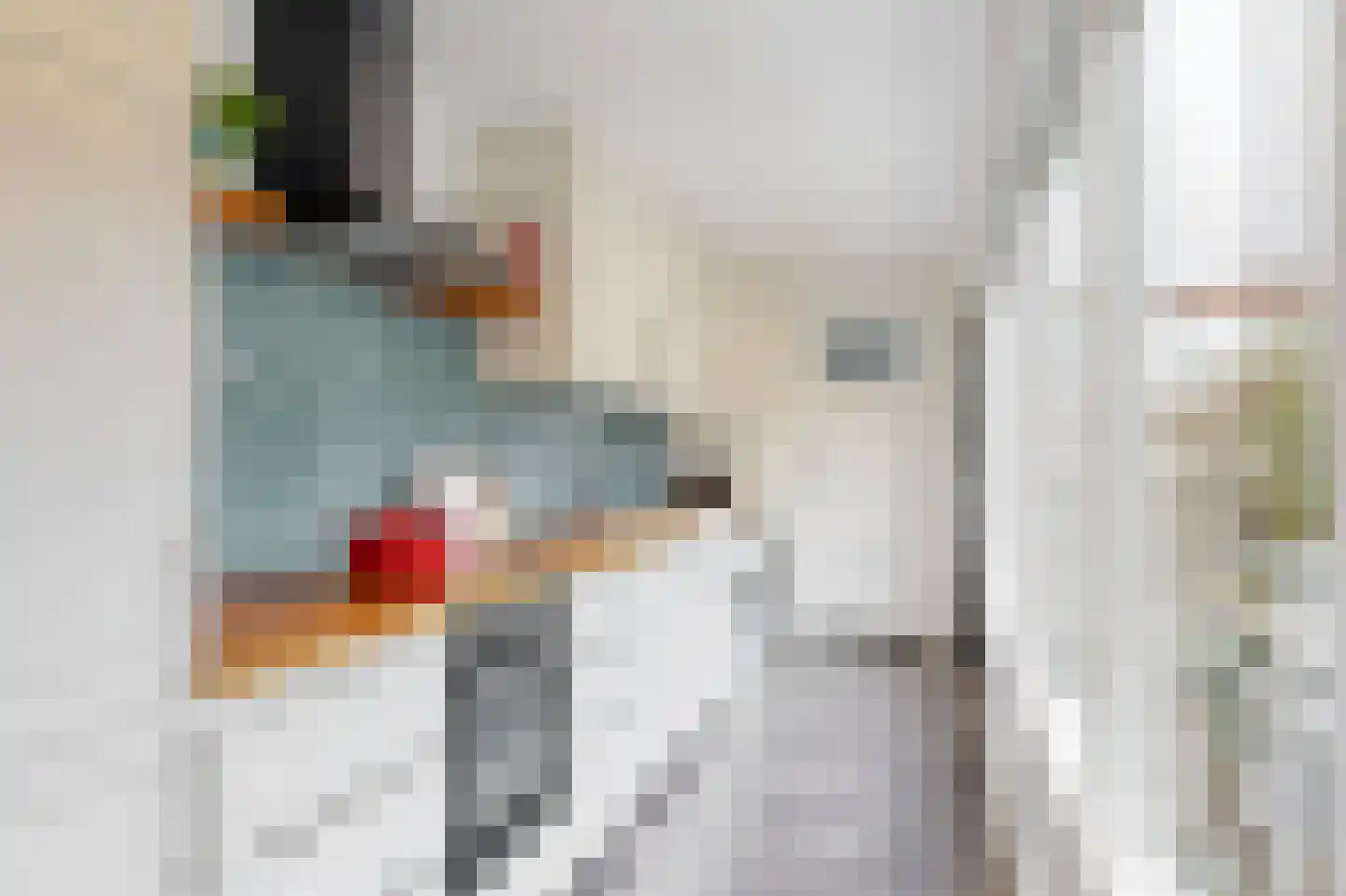 Dahliastraat 2 Woerden thumbnail 12