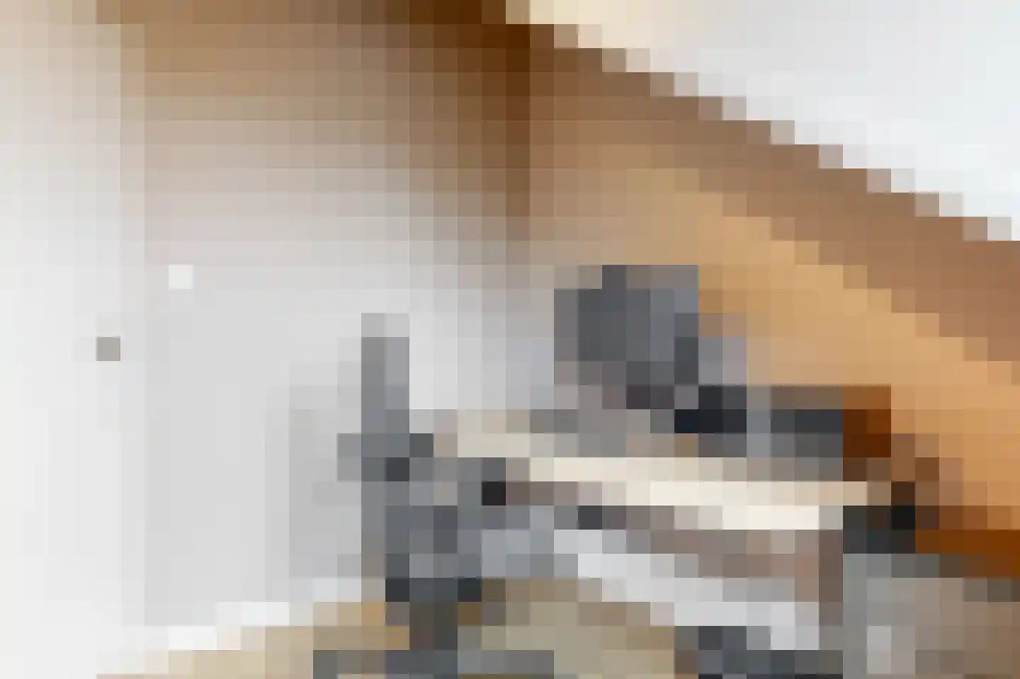 Dahliastraat 2 Woerden thumbnail 30