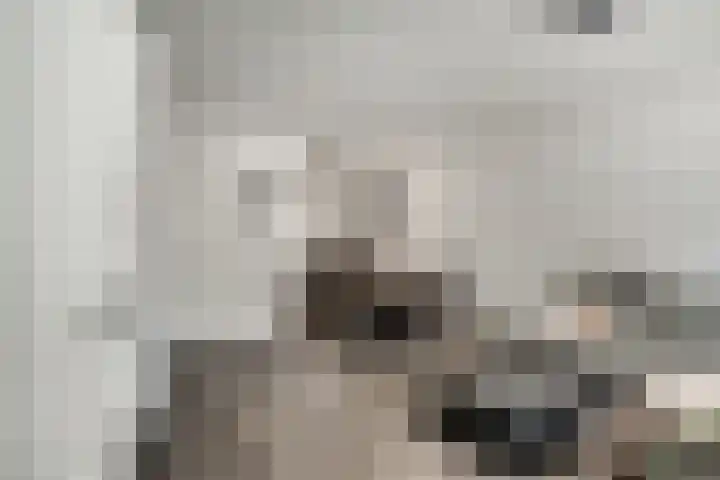 Dahliastraat 22 Lobith thumbnail 12