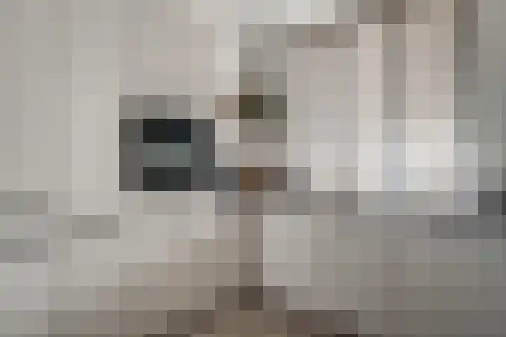 Dahliastraat 22 Lobith thumbnail 14