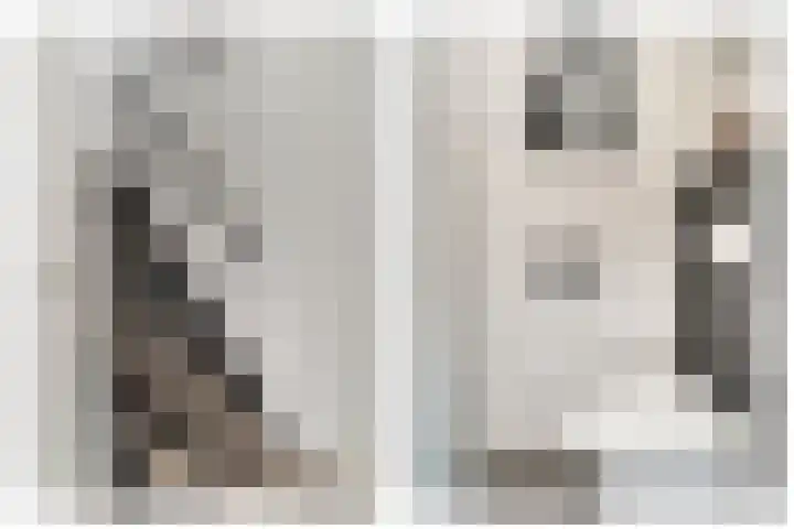 Dahliastraat 22 Lobith thumbnail 17