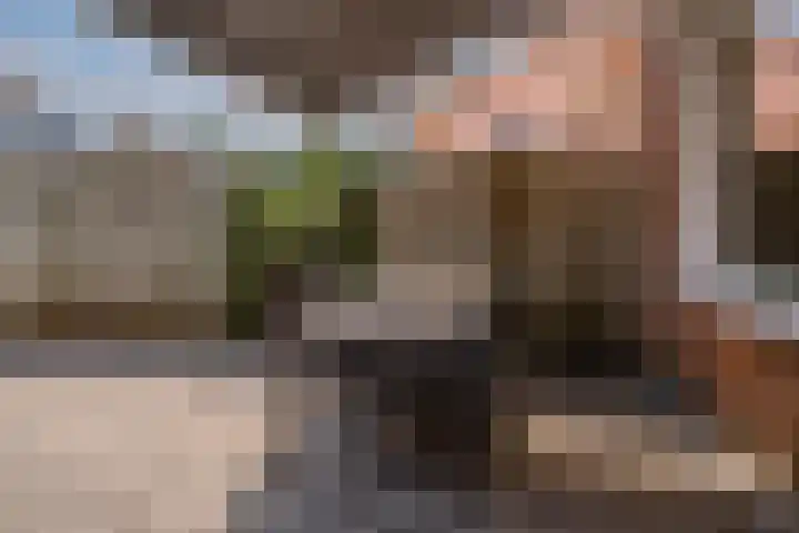 Dahliastraat 22 Lobith thumbnail 19