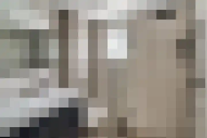 Dahliastraat 22 Lobith thumbnail 24