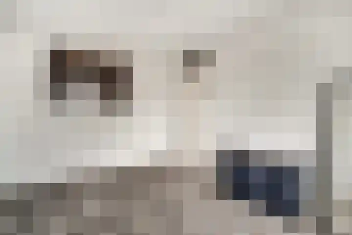 Dahliastraat 22 Lobith thumbnail 28