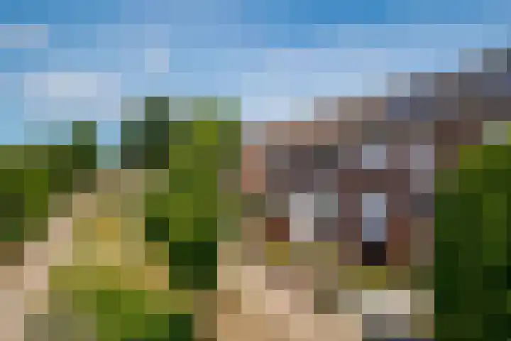 Dahliastraat 22 Lobith thumbnail 5