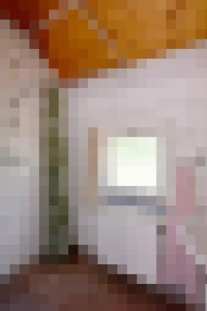 Dahliastraat 26 Deventer thumbnail 16