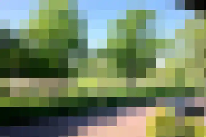 Dahliastraat 26 Deventer thumbnail 21