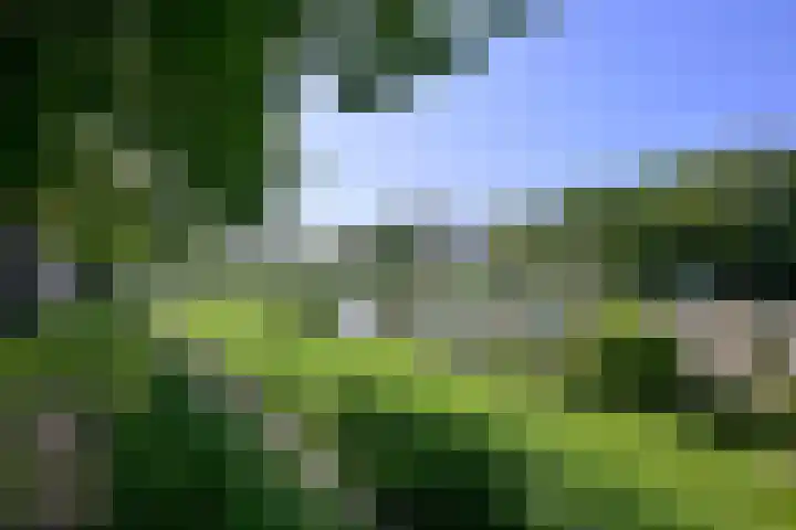 Dahliastraat 26 Deventer thumbnail 29
