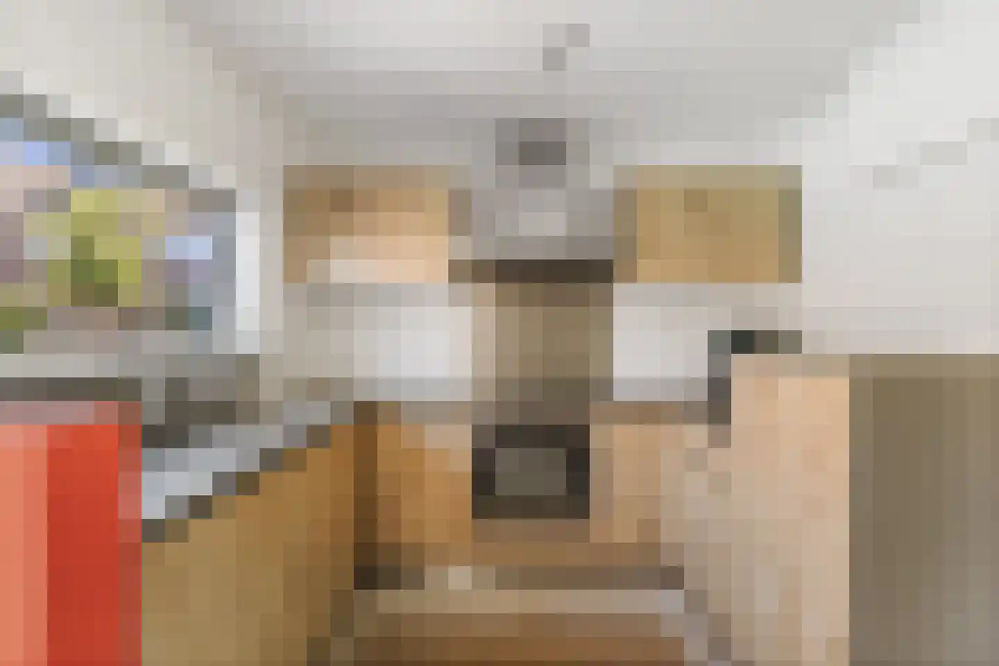 Dahliastraat 29 Deventer thumbnail 13