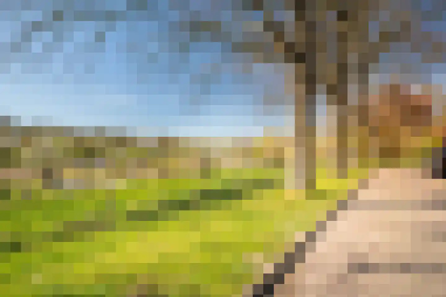Dahliastraat 29 Deventer thumbnail 31