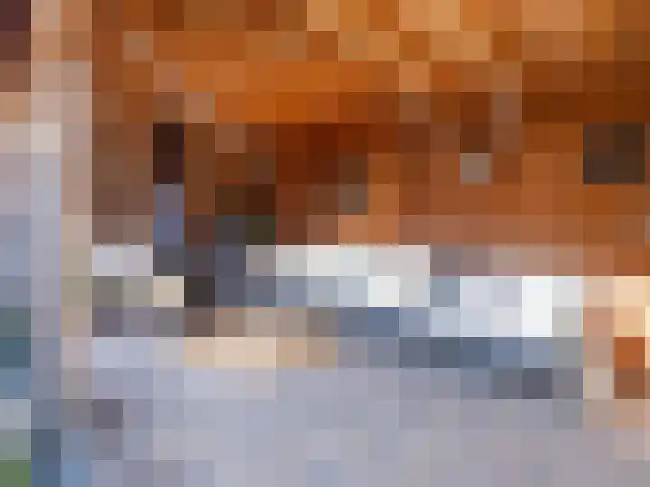 Dahliastraat 36 Eerbeek thumbnail 33