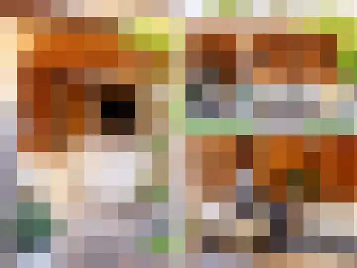 Dahliastraat 36 Eerbeek thumbnail 34