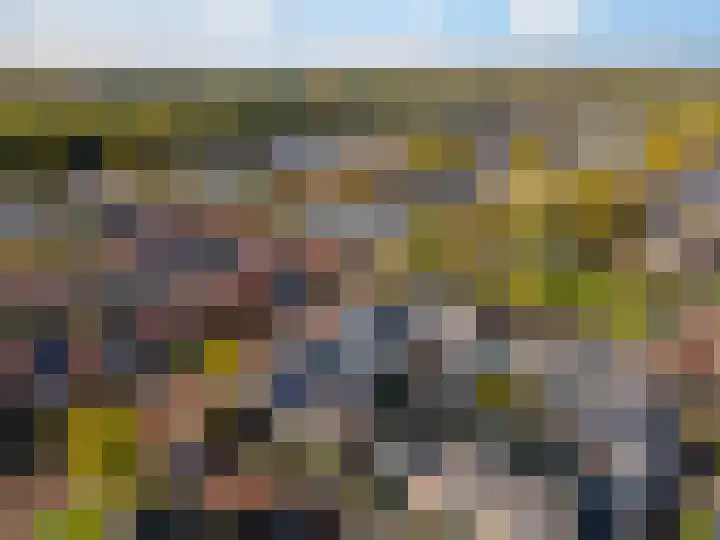 Dahliastraat 36 Eerbeek thumbnail 43