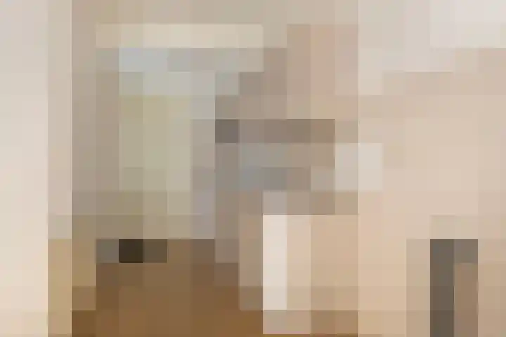 Dahliastraat 4 Baarn thumbnail 11