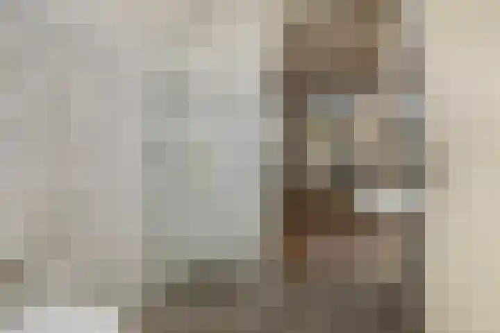 Dahliastraat 4 Baarn thumbnail 13