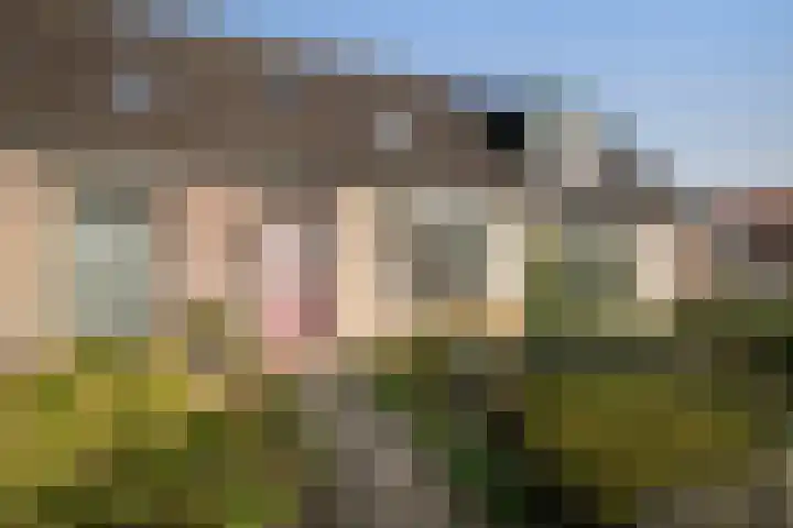 Dahliastraat 4 Baarn thumbnail 23