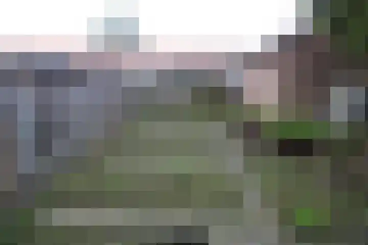 Dahliastraat 4 Olst thumbnail 14