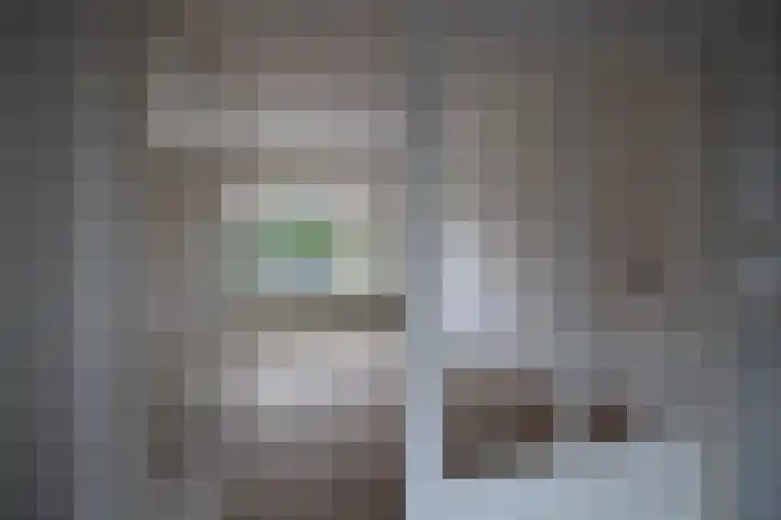 Dahliastraat 4 Olst thumbnail 5